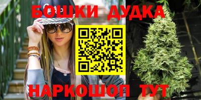 индика Лесосибирск