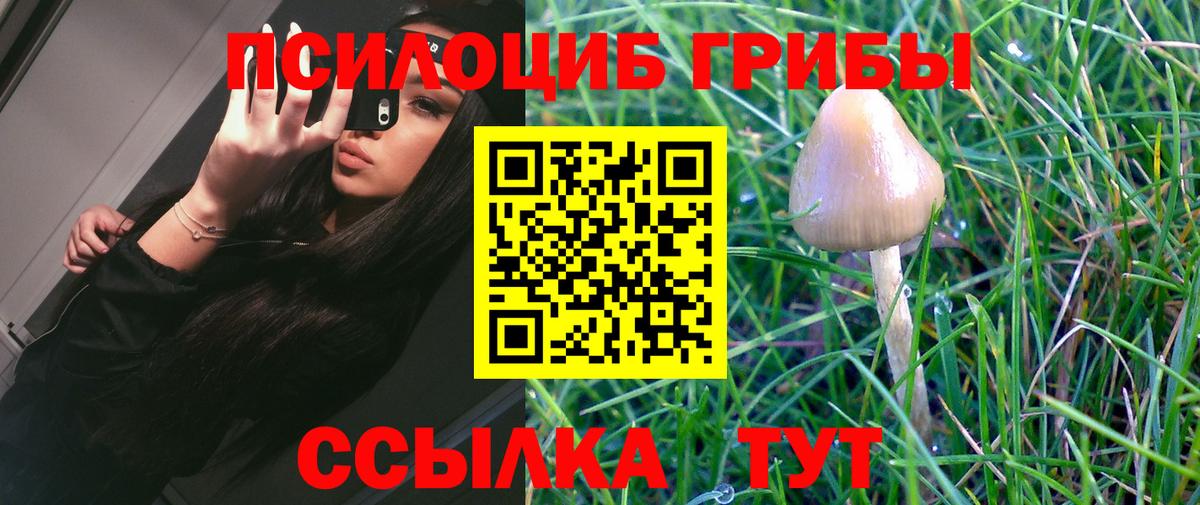 Псилоцибиновые грибы мухоморы Жуковский